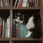 [탑과라떼] 다양한매력의 탑과라떼