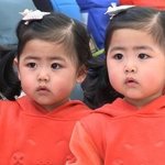 라둥이 마틸다 됐네ㅋㅋㅋ 