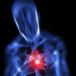 [세븐틴] 오늘입덕했는데