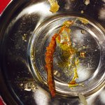 [개깊은빡침] 부산역 놀부 <b>부대</b> 찌개 이용하지 마세요 벌레가 진짜...