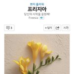 [방탄소년단] <b>아미</b>중에이꽃모르는사람드물듯