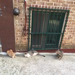 사람이라서 미안합니다 ㅠㅠ