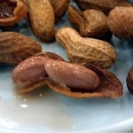 <b>땅콩</b>을 삶아먹어?????