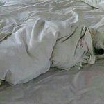 [드루와] 다들 <b>베</b>톡이나 <b>베</b><b>플</b>된적 있어?