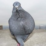 [댓글부탁해] 내 짝남 프<b>산데</b> 누구임?