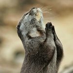 [EXO] <b>다</b>같이 소원빌자
