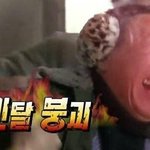 [EXO] 물들어 끝에 <b>물들</b> 어!!!!!! 하고끝날줄알았는데