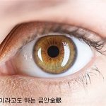 색깔별 다양한 눈동자 모습들