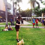 [강아지사랑] 포메라니안 쌍둥이남매 일상 5 [<b>펀치</b>의 여친]