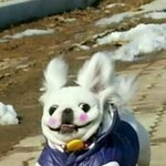 [조언부탁] 답답한<b>내동</b>생아