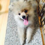 남자도 여자도 아닌 우리 달봉이 ㅋㅋㅋ