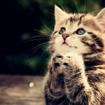 [드루와] 역시 사람은 매력이 중요한 듯 해