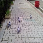 우리<b>반애</b> 나 괴롭혔던 ㅂㄷㄱ 니네 ㅈㄴ후회하게 해줄거야
