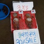 [유머북]  광복절기념 돌아가신 문어 30%세일 ㅋㅋㅋㅋㅋ 