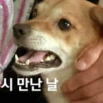<b>화재</b>현장을 지킨 똘이가 이룬 소원