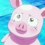 [드루와] 자취하는데 친구가 백종원 <b>라면냄비</b> 탐낸다 ㅋㅋ