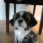 [으실으실이] <b>식탁</b>밑도 좋구요!!