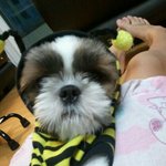 [으실으실<b>이</b>] 으실 <b>벌</b>~