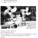 [콜로라도] 디시에서 드디어 <b>생성</b>된 어느 갤러리