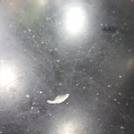 [꼭조언부탁] <b>와퍼</b>에서 손톱이 나왔어요