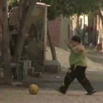 <b>활동적</b>인 파오후들 특징 