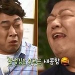 파오후 새끼들 특징 