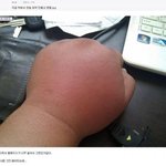 <b>파오후</b> 새끼들 특징 