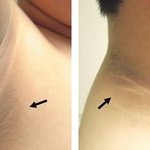 파오후들 반박불가 <b>Fact</b> 