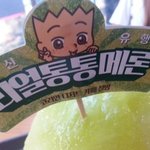 <b>설빙</b> 리얼통통메론 메론의 진리예요!