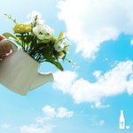 매력있는 감성 사진들!!!! 배경으로 하기 딱 좋아여