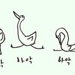 [댓글부탁해] 얘들아 veet어디어디에 팔아?