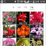 [댓글부탁해] 이 중에서 꽃<b>이름</b> 뭐가 가장 예뻐?
