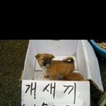 [EXO] 언제나 there <b>for</b> you