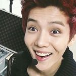 [댓글부탁해] 나 강아지상이야 <b>고양</b>이상이야
