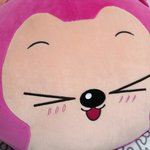 [시우민] 웅녀들 아리쿠션 플뷰나와쪄*_*