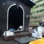 [EXO] 너무 <b>예</b><b>뻥</b>ㅠㅠㅠ