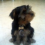 [망고랜드] 천방지축 7남매 웰컴투 망고랜드 