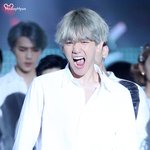 [백현] 흰<b>셔츠</b>  백현이 섹쉬~~