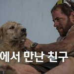 692km의 경기에서 만난 <b>유기</b>견