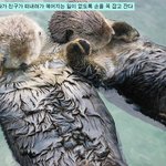동물에 대한 <b>흥미</b>로운 사실들