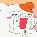 서천호랑 같이 다이어트 시작!