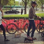 미인 아내에 귀여운 아들까지! 천사 둘을 얻은 남자배우