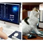 [시우민] 시우민99데이=슈냥이데이??