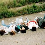 [인피니트] <b>호동</b>이시절ㅋㅋㅋㅋㅋㅋ