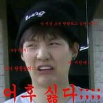 [방탄소년단] 아진짜 팬코<b>년들</b>