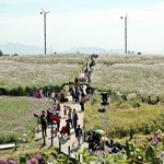 가을 데이트 코스 추천