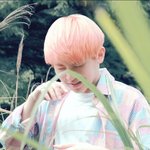 [세븐틴] 노래 <b>취</b><b>저</b> 탕탕