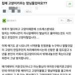 (퍼옴) 임신중 고양이 죽여버리고 싶다는 글