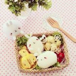 도시락 레시피 한번만 봐주세요ㅠㅠ