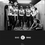 [EXO] 조금 보이는게 <b>반지</b>야??